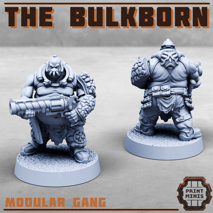 The Bulkborn Gang - The Fat gang!