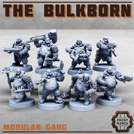 The Bulkborn Gang - The Fat gang!