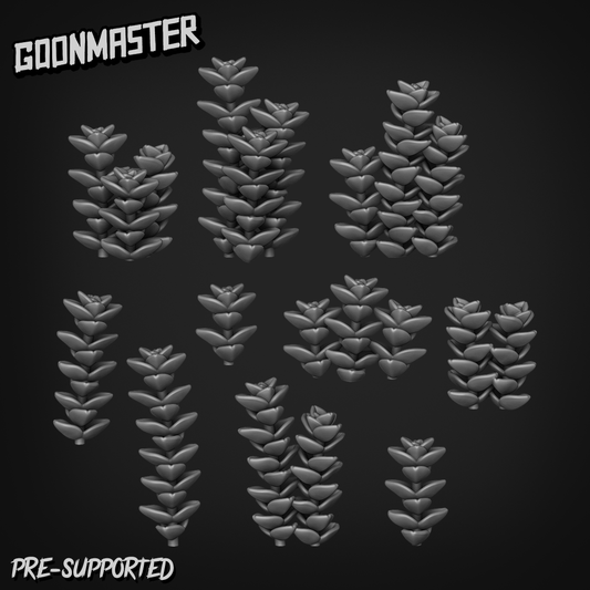 Crasula Perforata by Goon Master