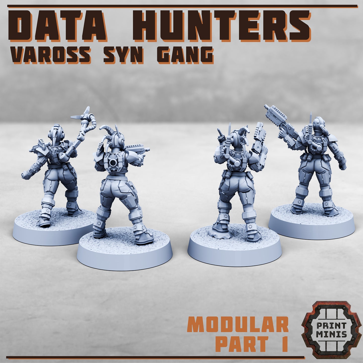 Data Hunters - Vaross Syn Gang