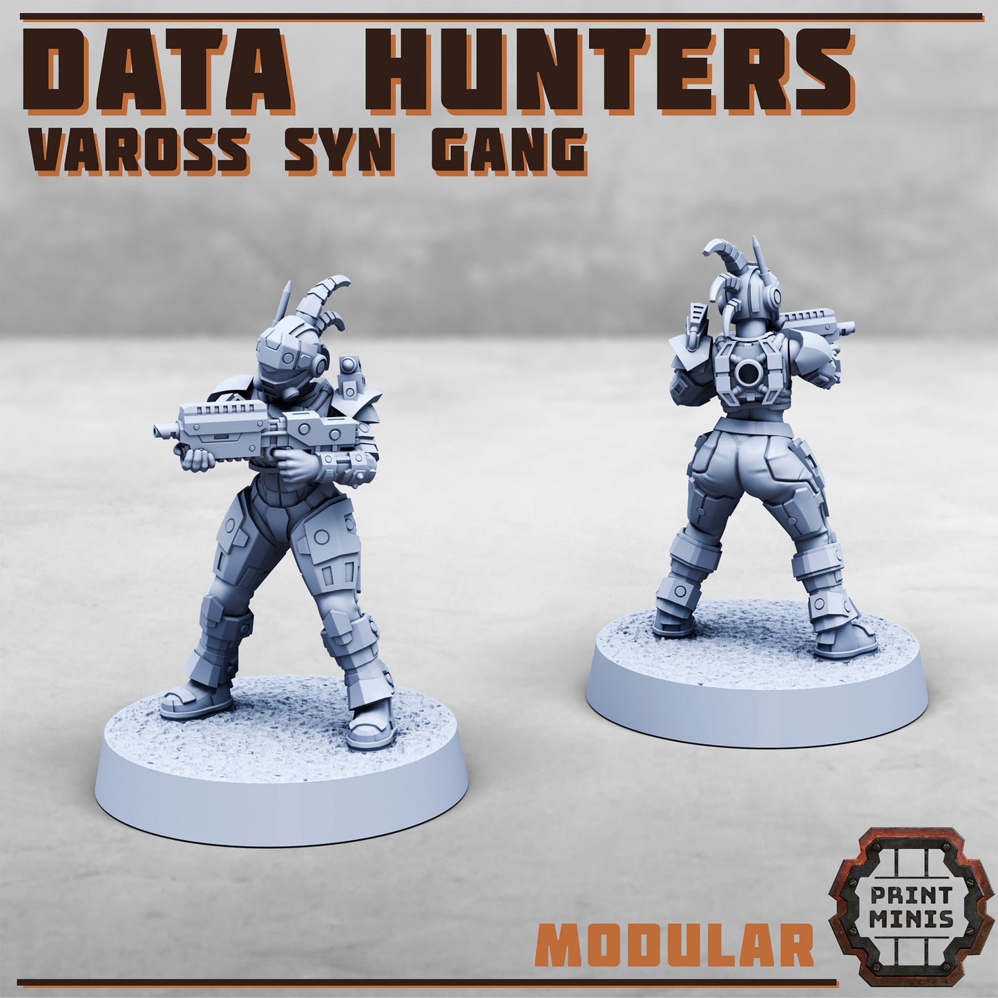 Data Hunters - Vaross Syn Gang