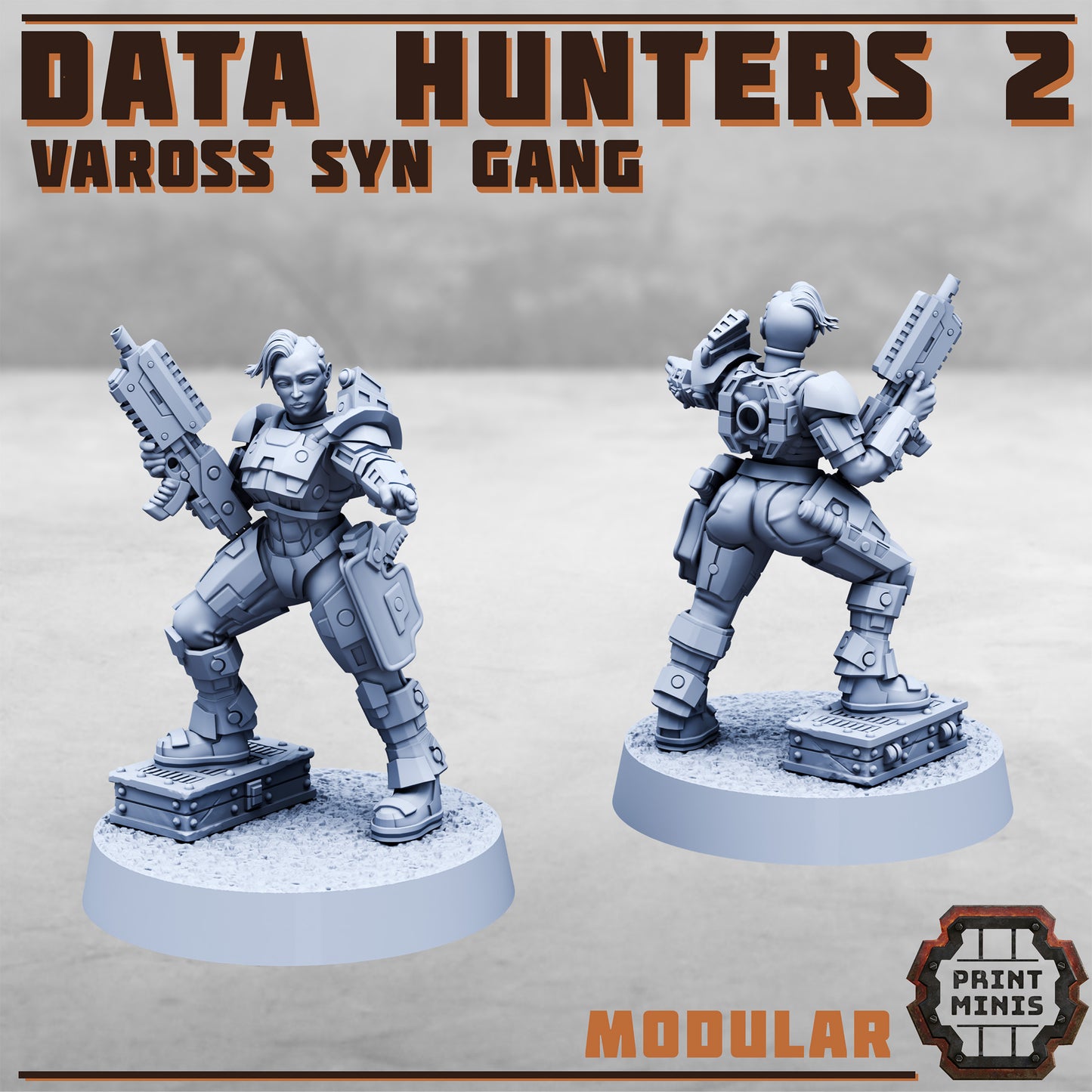 Data Hunters 2 - Vaross Syn Gang