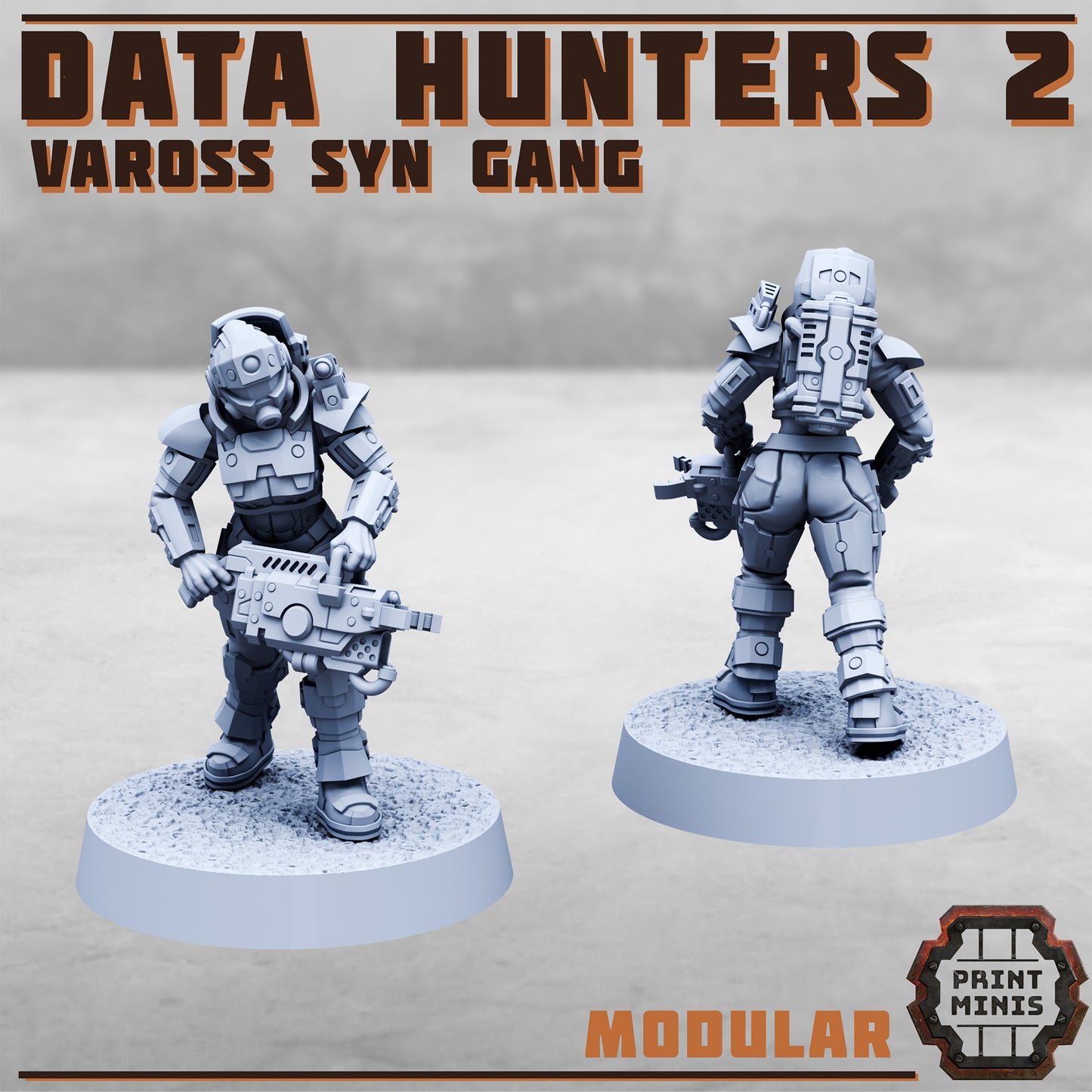 Data Hunters 2 - Vaross Syn Gang