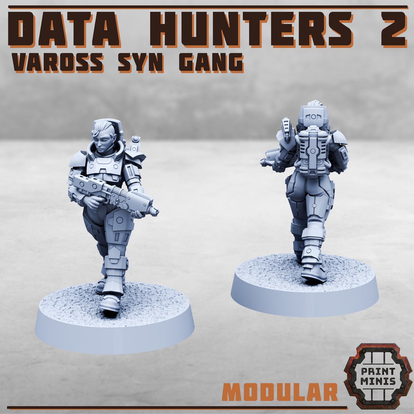 Data Hunters 2 - Vaross Syn Gang
