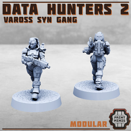 Data Hunters 2 - Vaross Syn Gang