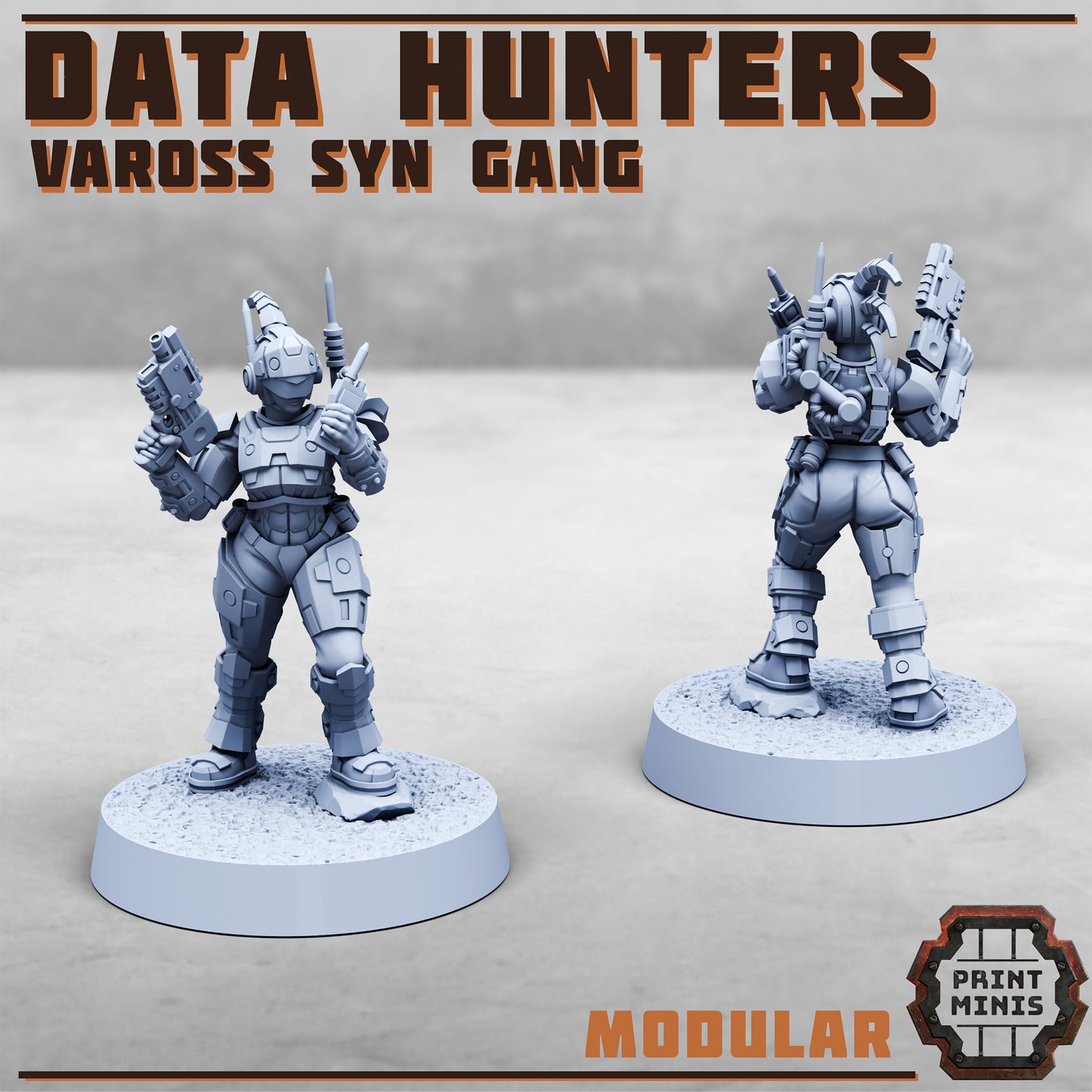 Data Hunters - Vaross Syn Gang