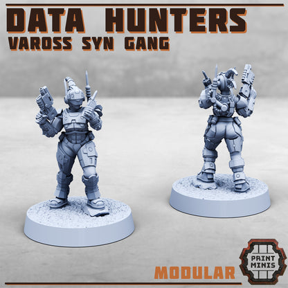 Data Hunters - Vaross Syn Gang