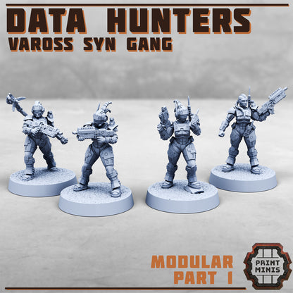 Data Hunters - Vaross Syn Gang