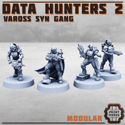 Data Hunters 2 - Vaross Syn Gang
