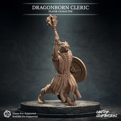 Dragonborn Cleric