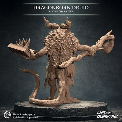 Dragonborn Druid, Warden of the Wilds