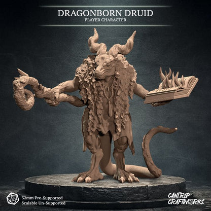 Dragonborn Druid, Warden of the Wilds
