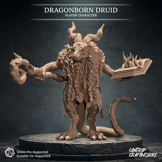 Dragonborn Druid, Warden of the Wilds