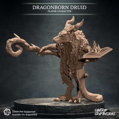 Dragonborn Druid, Warden of the Wilds