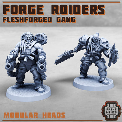 Forge Roiders - Fleshforged Gang