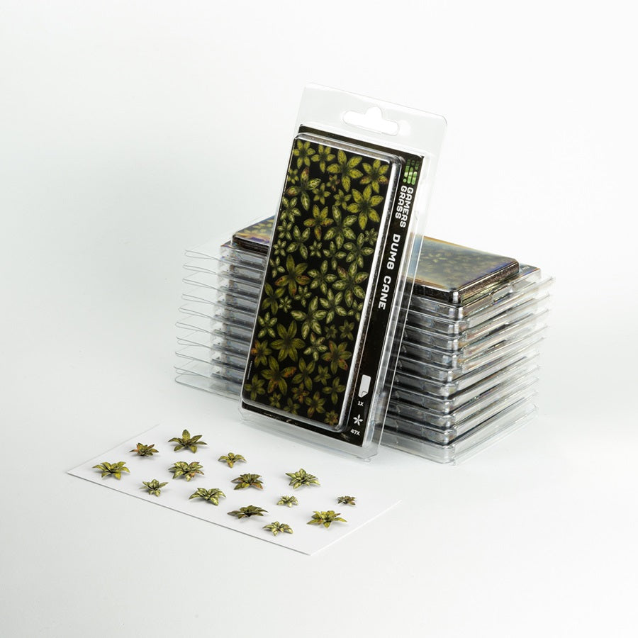 Dumb Cane Laser Plants - By Gamers Grass