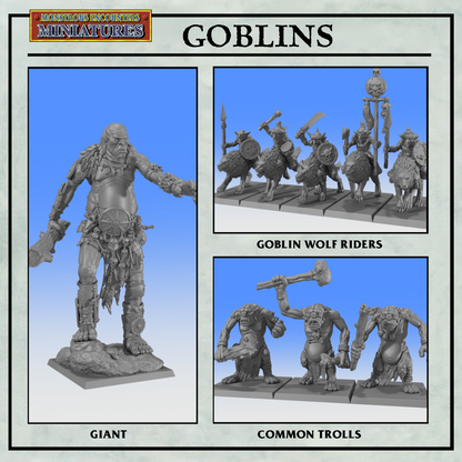 ORCS & GOBLINS: Starter Army