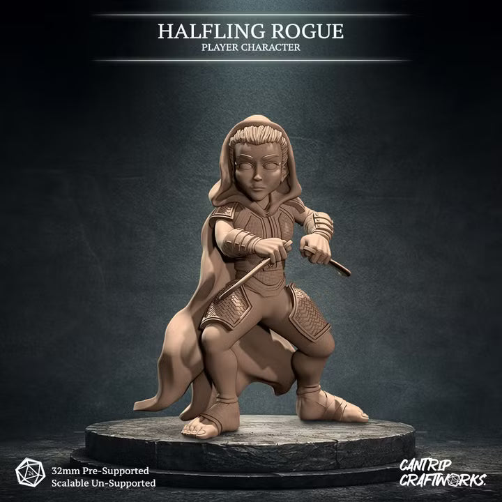 Halfling Rogue
