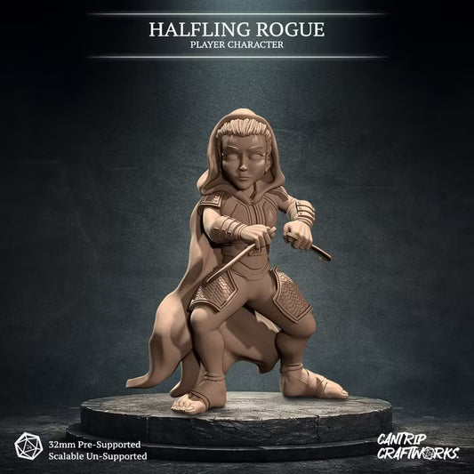 Halfling Rogue