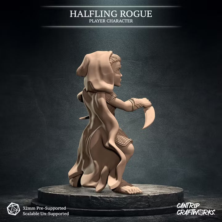 Halfling Rogue