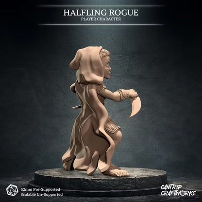 Halfling Rogue
