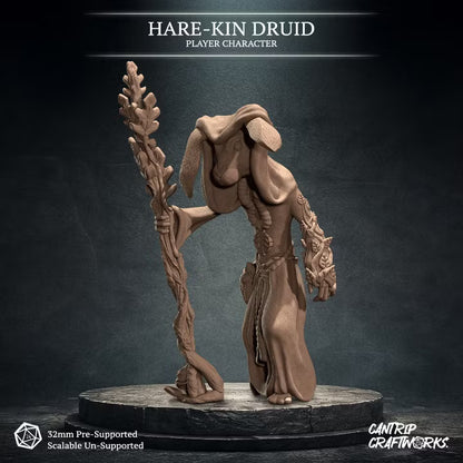 Hare-Kin Druid