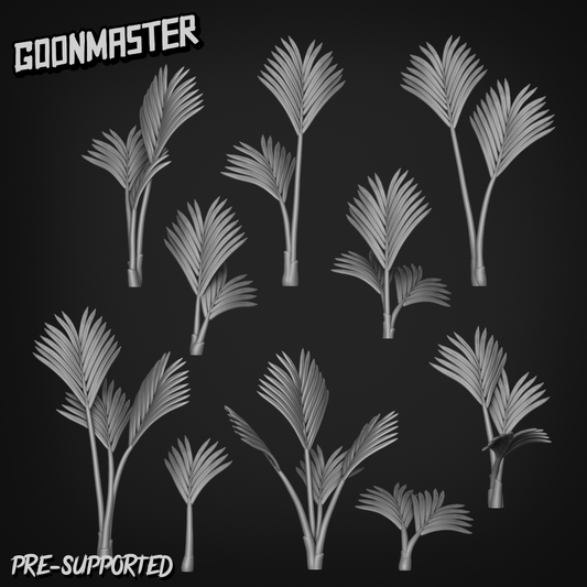 Howea Forsteriana by Goon Master