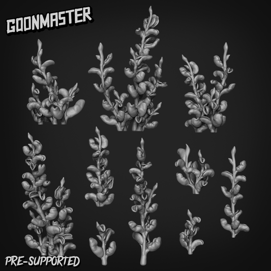 Hoya Carnosa Var Compacta by Goon Master