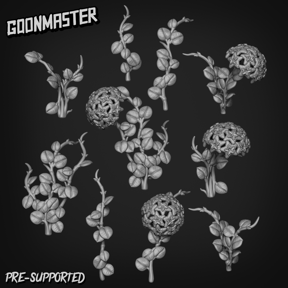 Hoya Carnosa x Serpens Mathilde by Goon Master