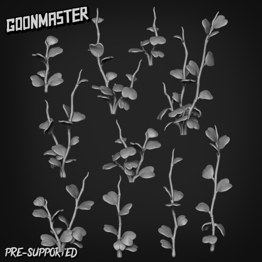 Hoya Kerrii by Goon Master