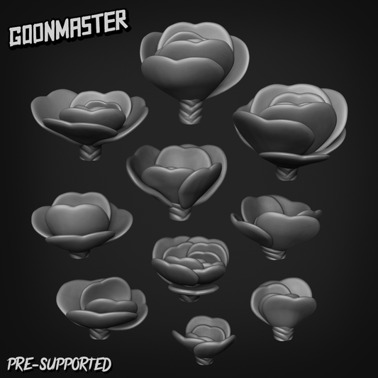 Kalanchoe Luciae by Goon Master