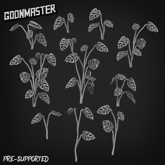 Monstera Adansonii by Goon Master