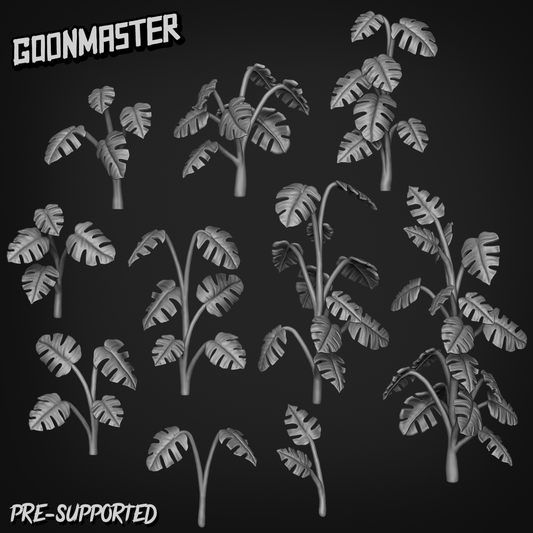 Monstera Deliciosa Borsigiana Variegata by Goon Master