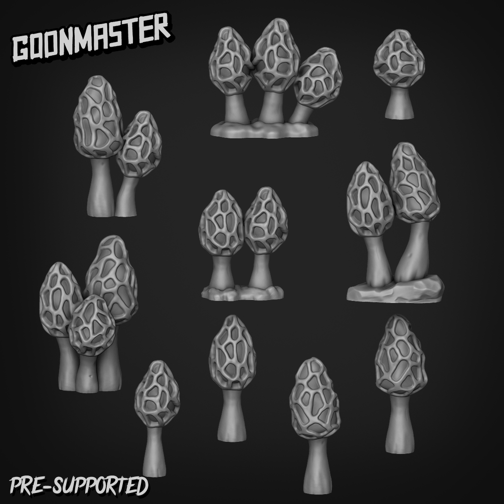 Morchella Galilaea by Goon Master