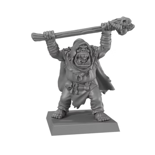 ORCS & GOBLINS: Orc Shaman 2