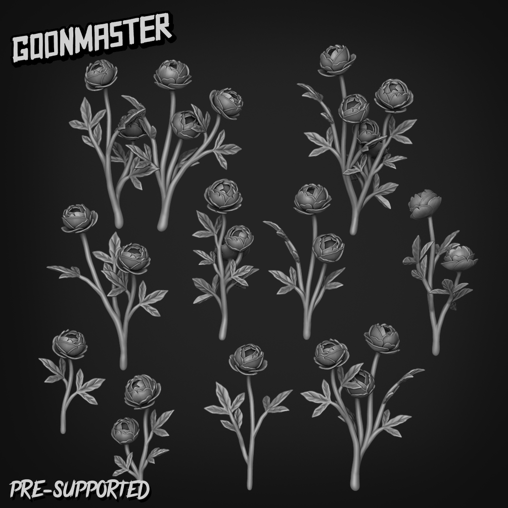 Paeonia Bizanthia by Goon Master