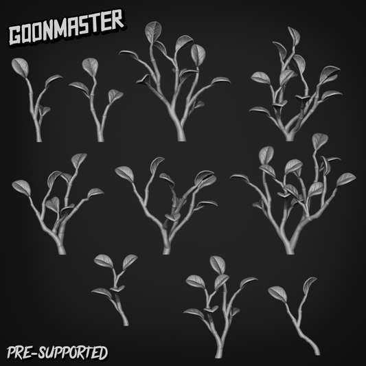 Peperomia Obtusifolia by Goon Master