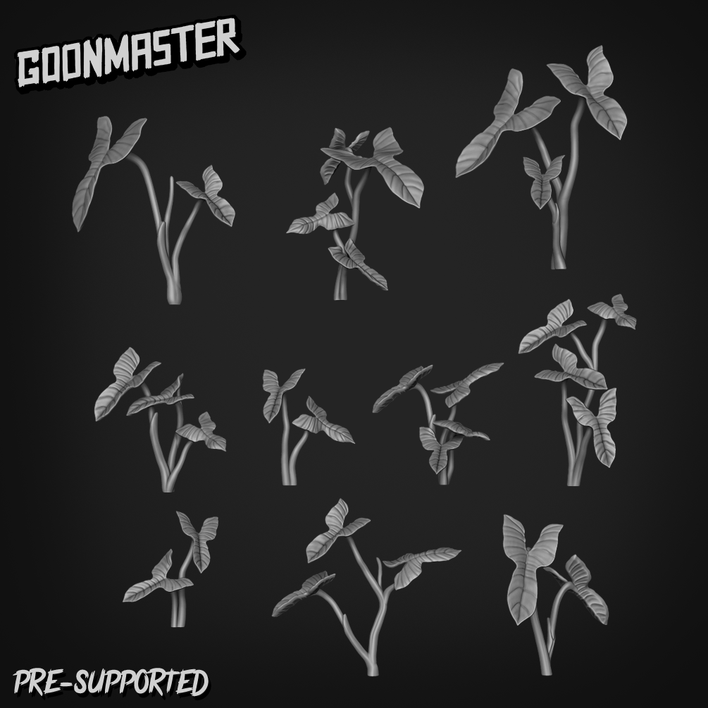 Philodendron Bipennifolium by Goon Master