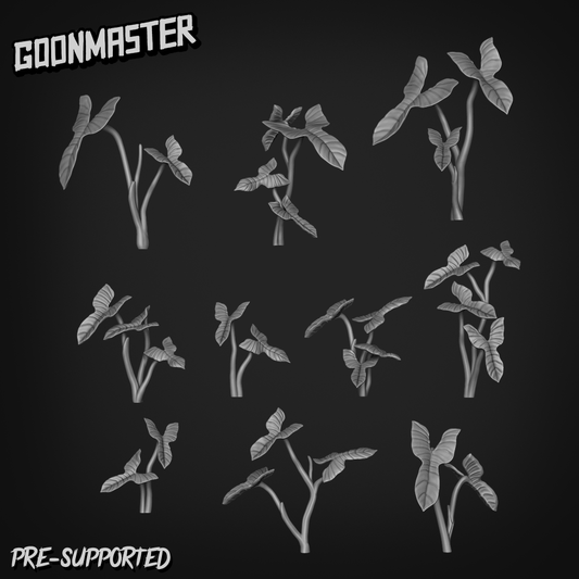 Philodendron Bipennifolium by Goon Master