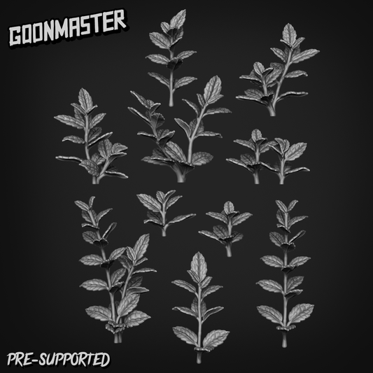 Pilea Cadierei by Goon Master