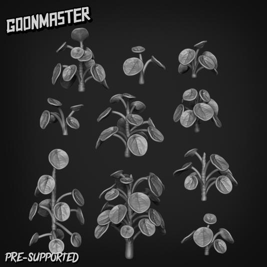 Pilea Peperomioides by Goon Master
