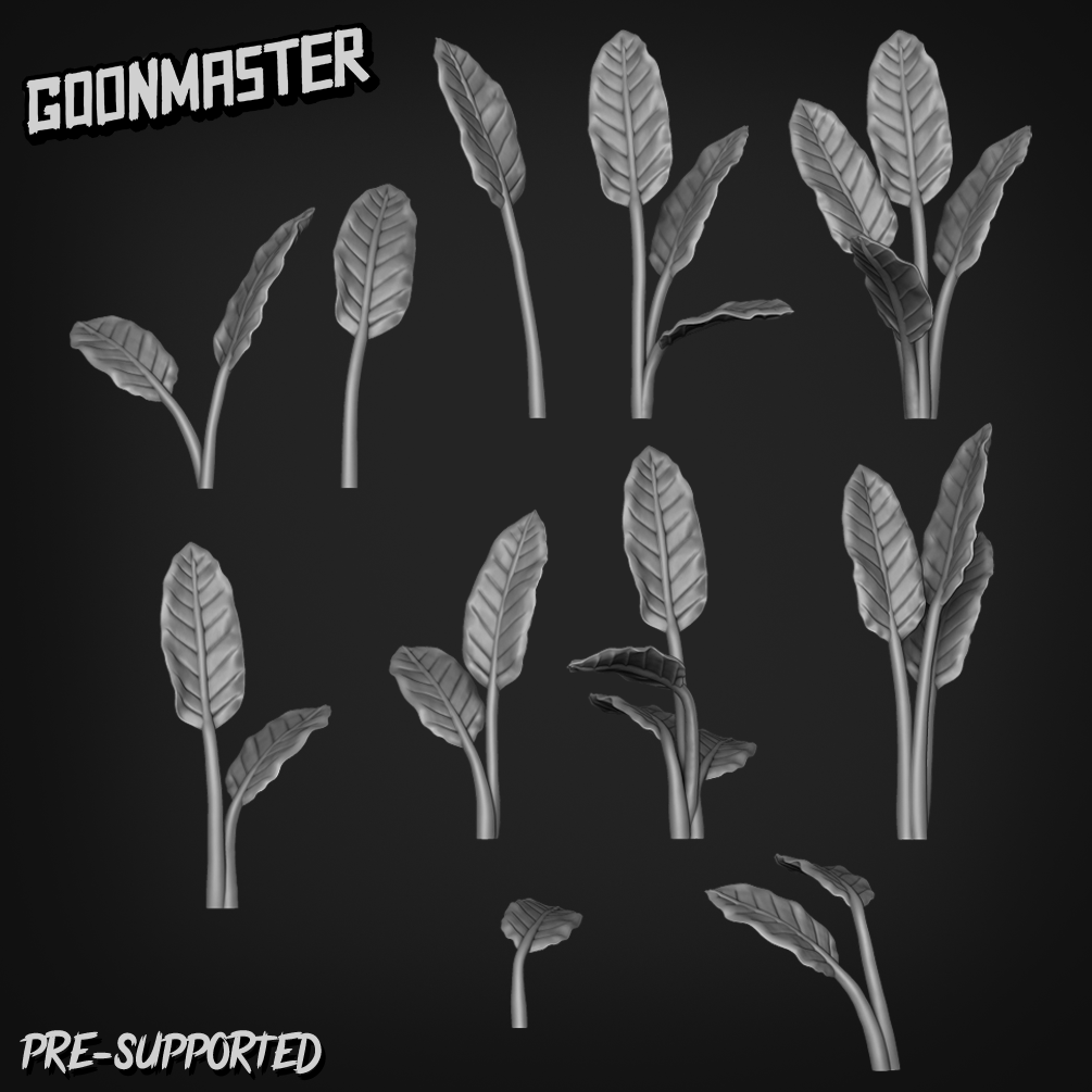 Strelitzia Nicolai by Goon Master