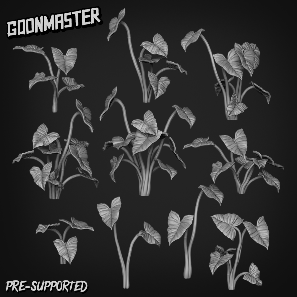 Syngonium Podophyllum by Goon Master