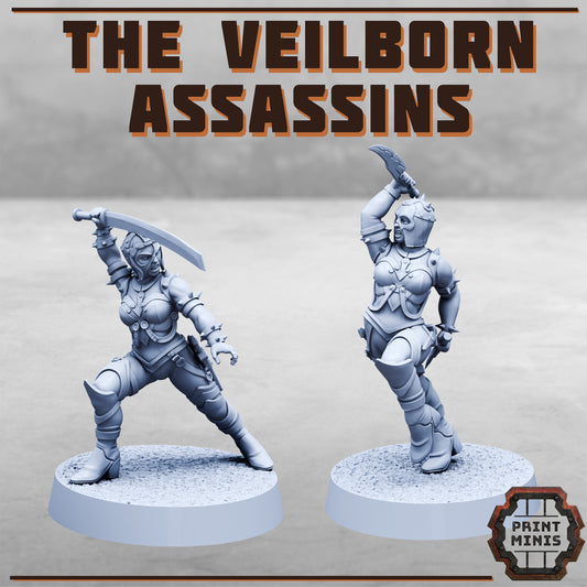 Veilborn Assassins - Bounty Hunters