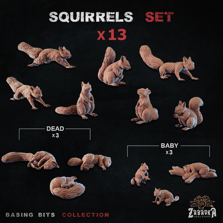 Squirrels