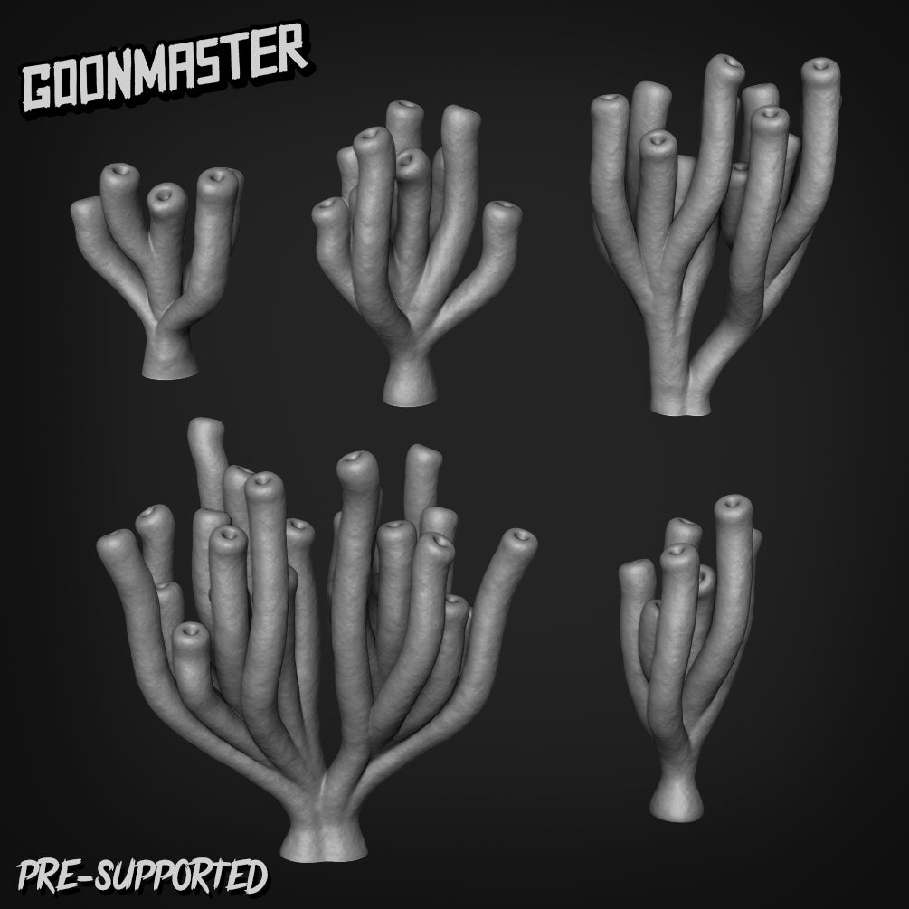 Coral by Goon Master