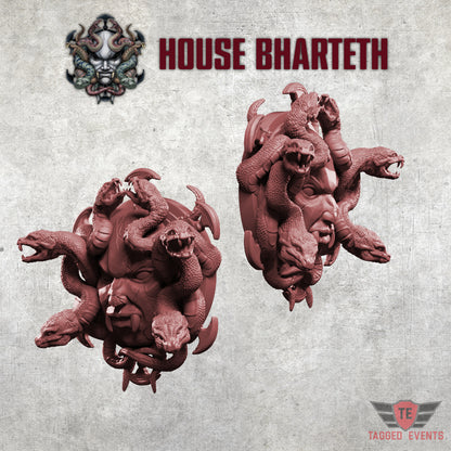 Bharteth Wall Plaque