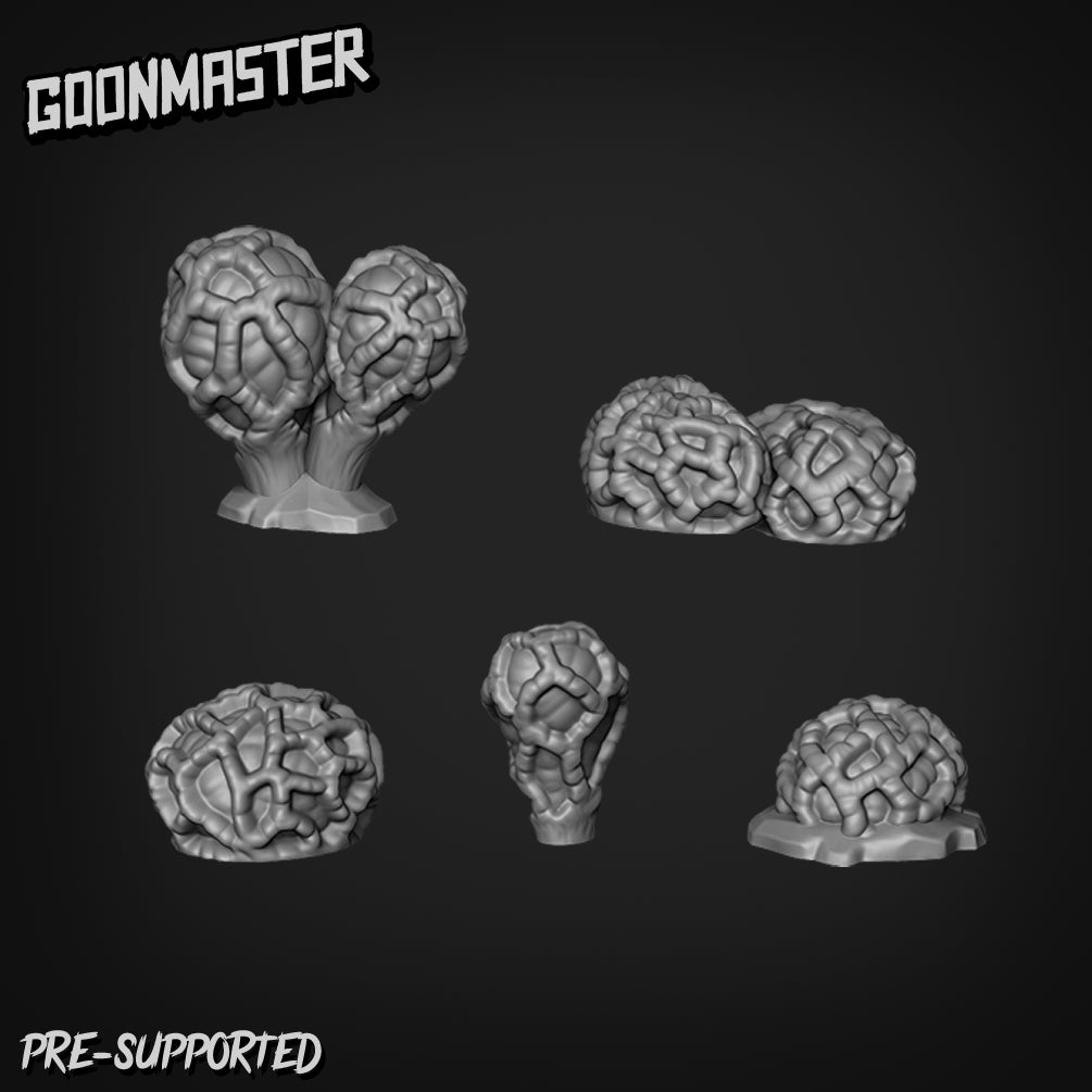 Colus Pusillus Mushrooms by Goon Master
