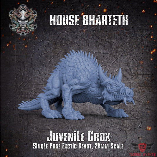 Juvenile Grox