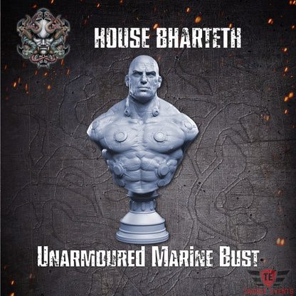 Unarmoured Marine Bust